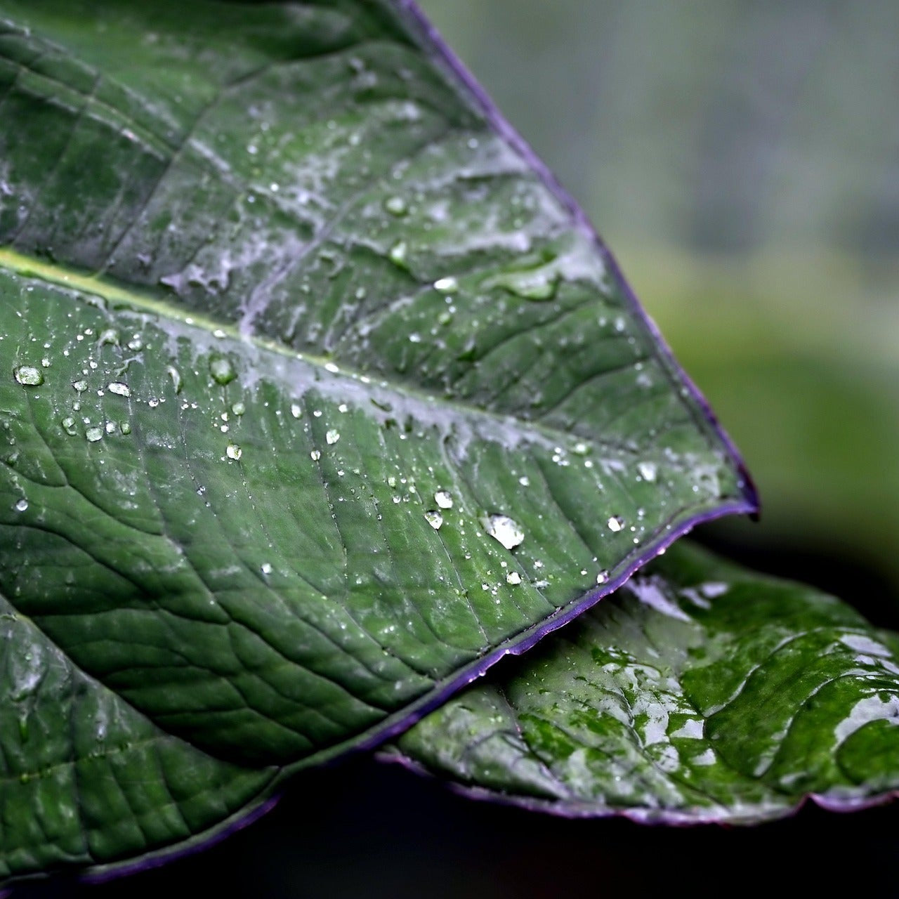 Designfabrik Hamburg Nachhaltiges Wohnen